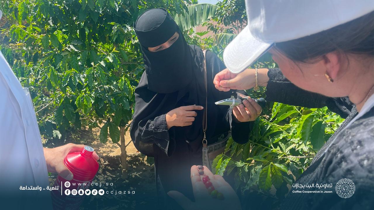 معهد البن للتدريب