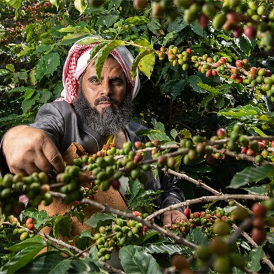 ورش العمل والدورات التدريبية للمزارعين