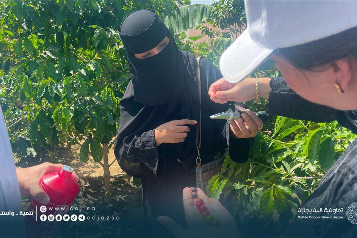 معهد البن للتدريب