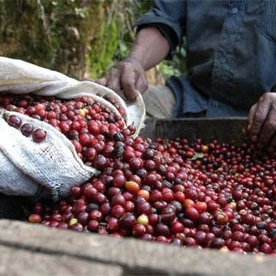 الدعم المالي والفني