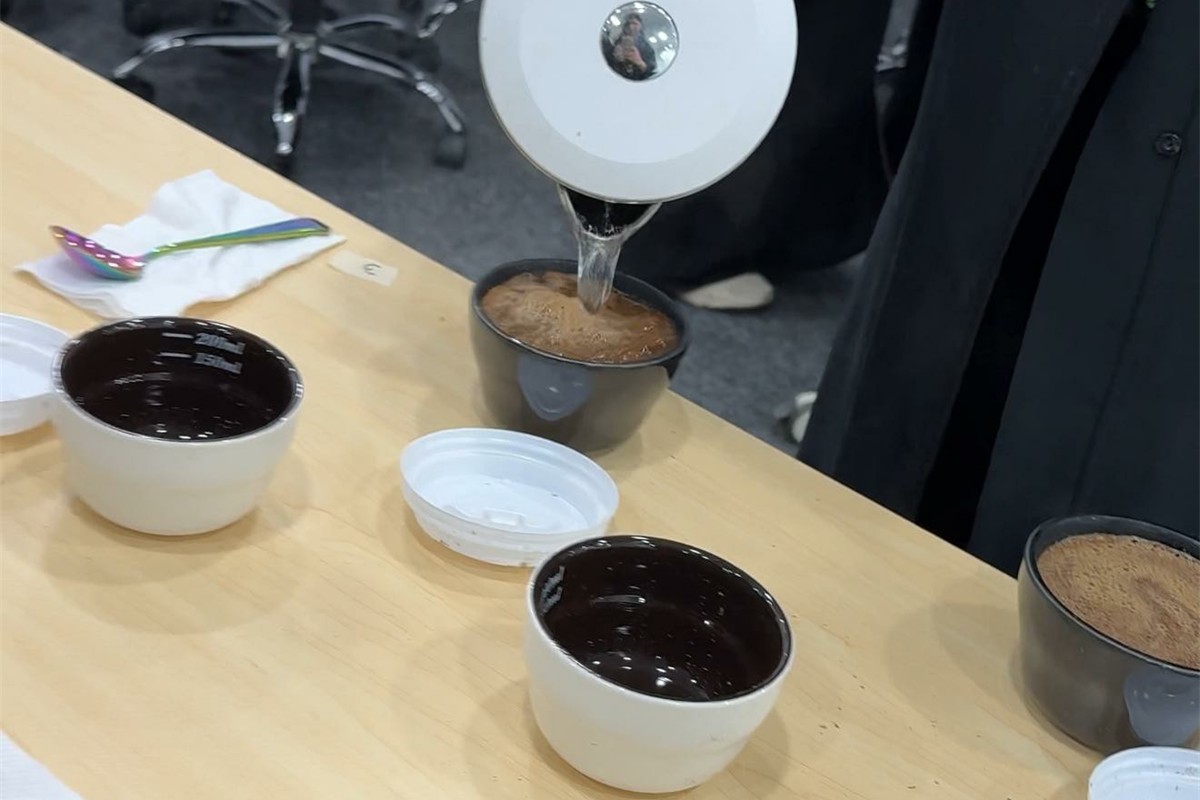 معهد البن للتدريب