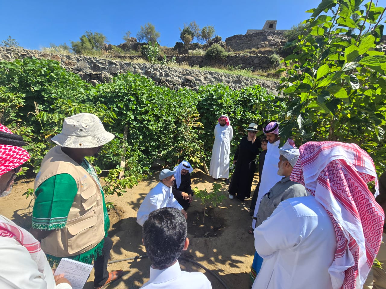 معهد البن للتدريب