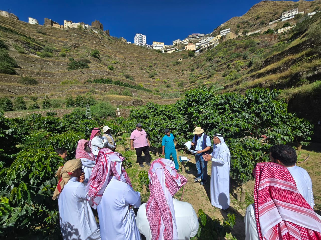 معهد البن للتدريب