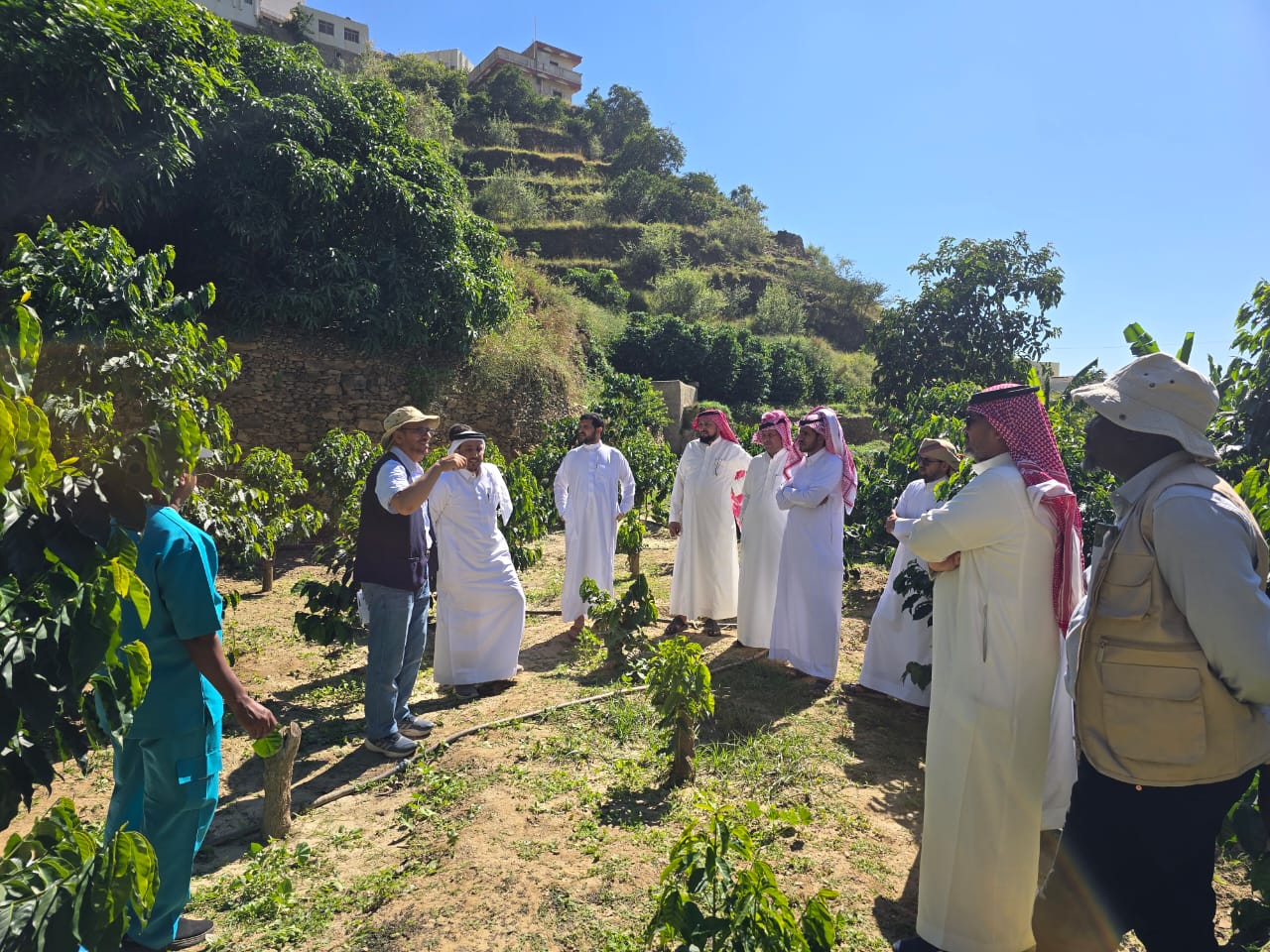 معهد البن للتدريب