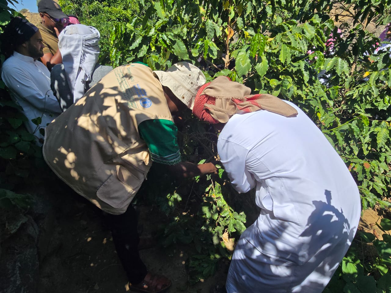 معهد البن للتدريب