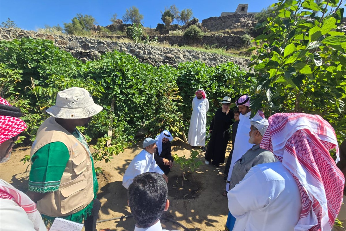 معهد البن للتدريب