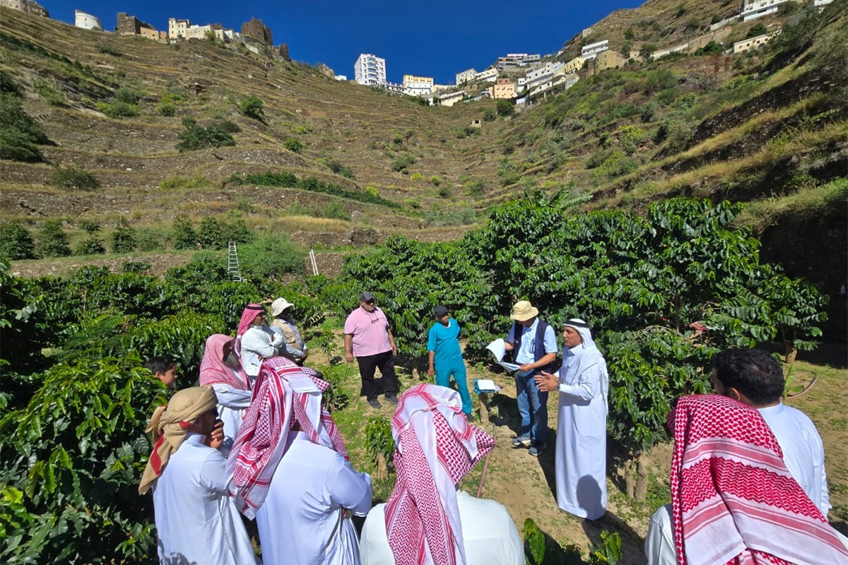 معهد البن للتدريب