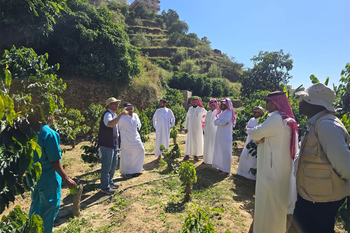 معهد البن للتدريب