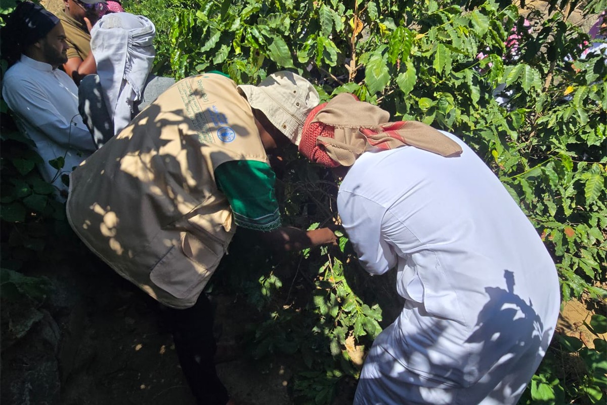 معهد البن للتدريب