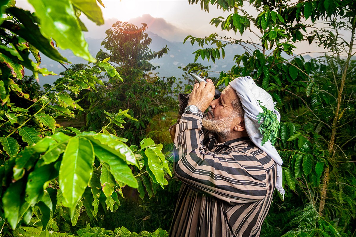 مبادرة جبنال